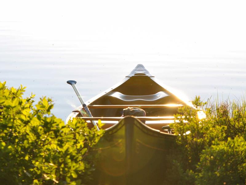 sudoku brain workout